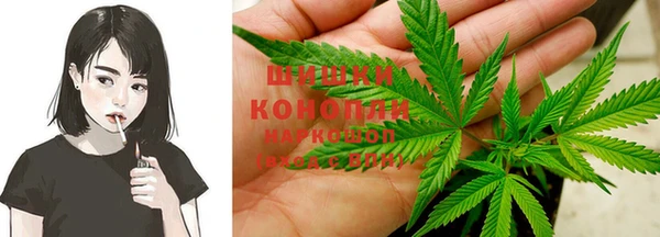 мдпв Майский