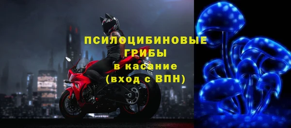 мдпв Майский