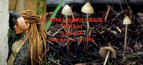 мяу мяу кристалл Медвежьегорск
