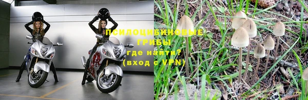 дистиллят марихуана Магас