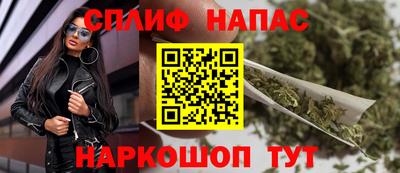 дмт Гатчина
