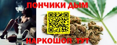 спиды Гагарин