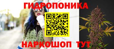 спиды Гагарин