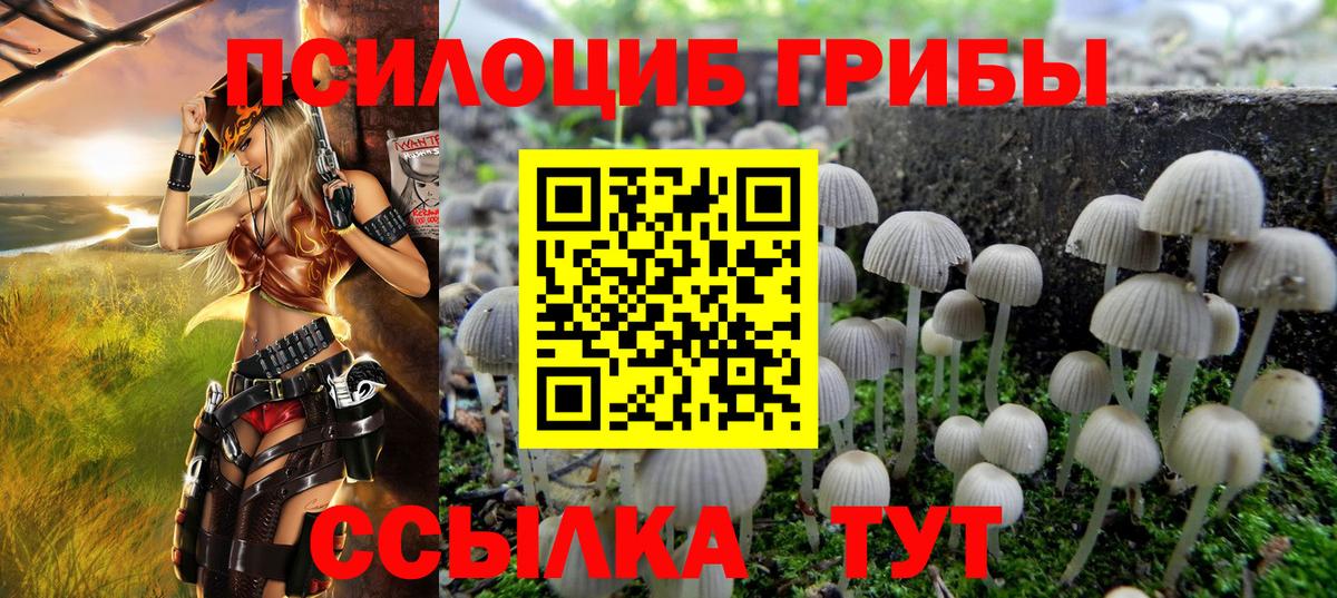 Псилоцибиновые грибы Cubensis  Вход с VPN  Дивногорск  Галлюциногенные грибы Psilocybine cubensis 