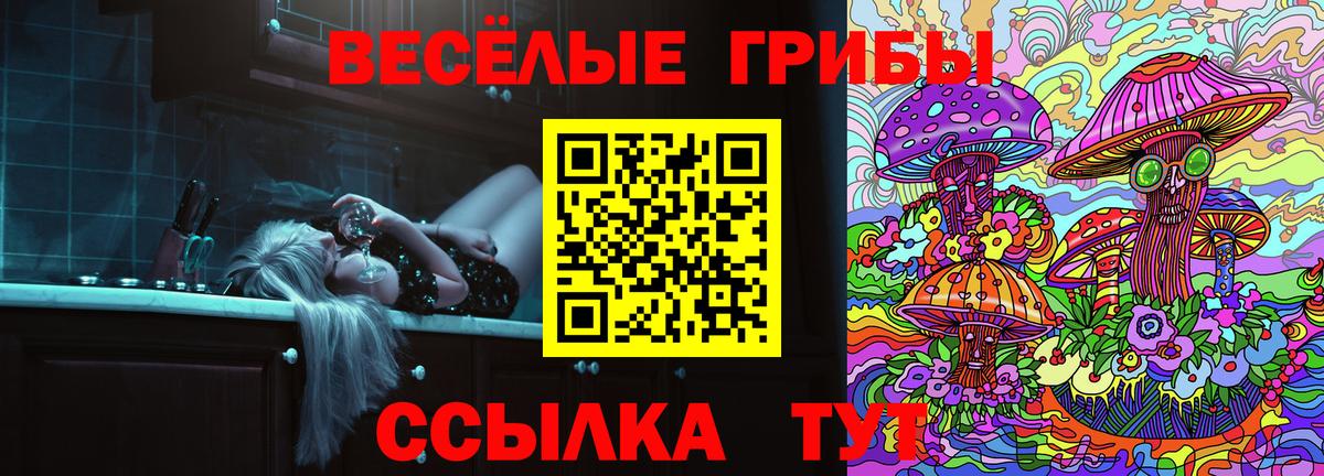 Псилоцибиновые грибы ЛСД  даркнет сайт  Дивногорск 